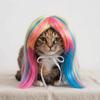 Adjustable Fit Cat Dragon Fruit Color Mullet Hair Dogs Cats Cosplay Wigs  Halloween Celebration
