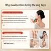 Ai Xiutang S3 Portable Warm Moxibustion Device