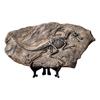 Resin Dinosaur for Fossil Figurines Retro Animal Statue Miniature Interior Livin