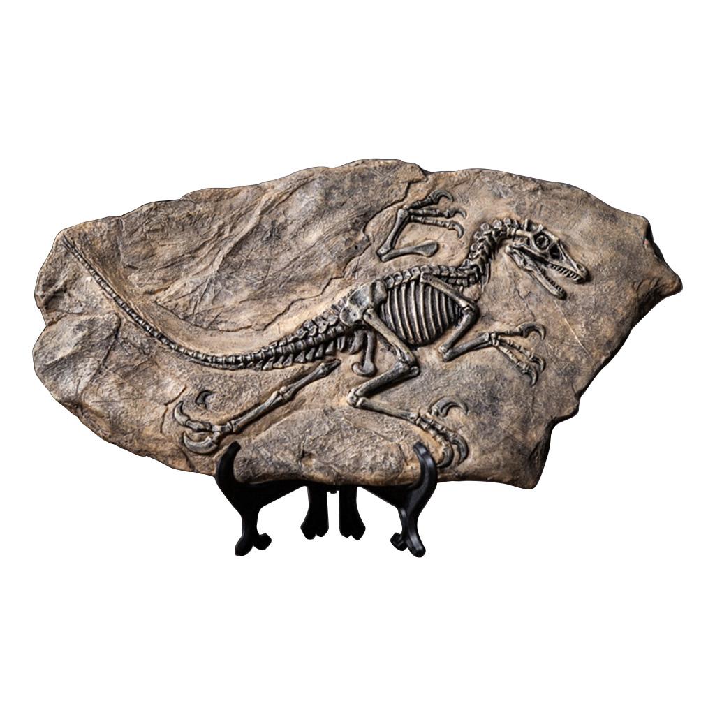 Resin Dinosaur for Fossil Figurines Retro Animal Statue Miniature Interior Livin