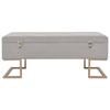 VidaXL Banc avec compartiment de rangement 105 cm Gris Velours