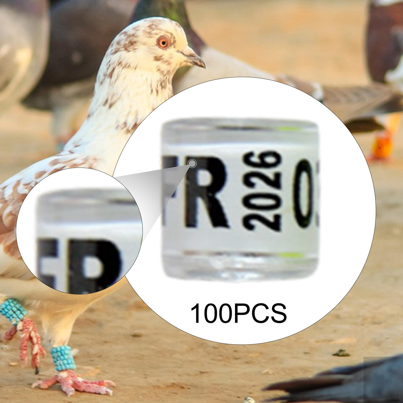 

100 штук алюмінієвих кільців для ніг голуба, ідентифікаційні стрічки, голуб для нерозлучника White France