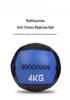 Fitness Medicine Wall Ball for Strength and Balance Training