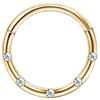 Drperfect 1 Stück Chirurgischer Stahl Nasenring für Damen Herren Septum Ring Clicker Conch Helix Knorpel Ohrringe Piercing Schmuck