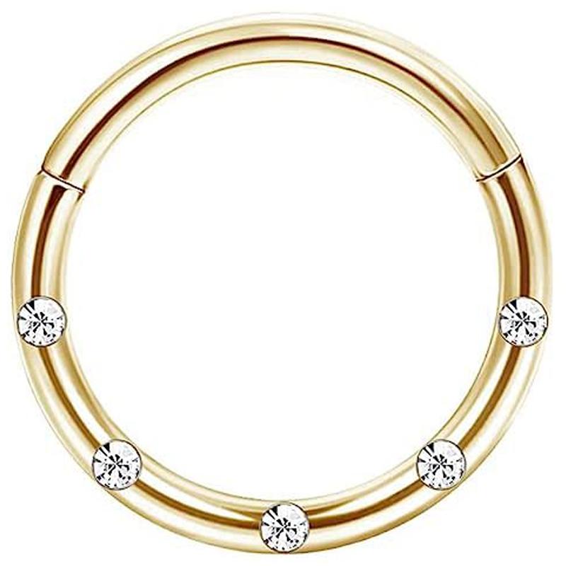 Drperfect 1 Stück Chirurgischer Stahl Nasenring für Damen Herren Septum Ring Clicker Conch Helix Knorpel Ohrringe Piercing Schmuck