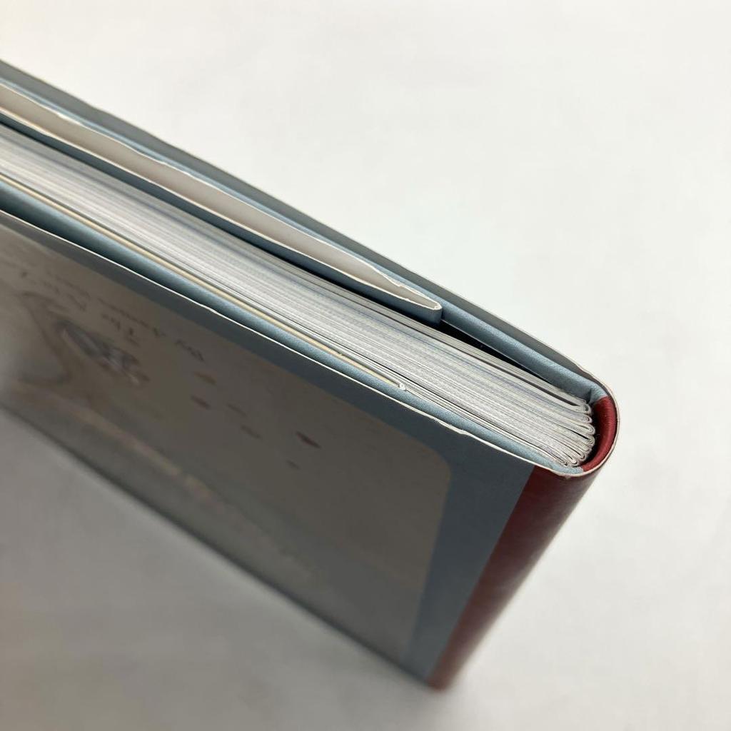 [USED] Rare Book: The Alphabet of the Human Heart