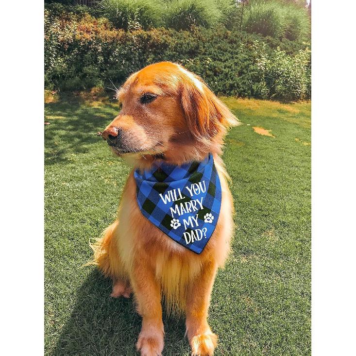 YHTWIN Lovely Dog Wedding Bandana, Will You Marry My Daddy Dog Bandana, Dog Engagement Announcement Dog Bandana for Dog Lovers Owner Gift, Pack of 2