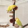 Parrots Grinding Scratchers Perch Pinecone Bird Stand Cage Toy Ladder Rack Toy Grinding Perch Supplies