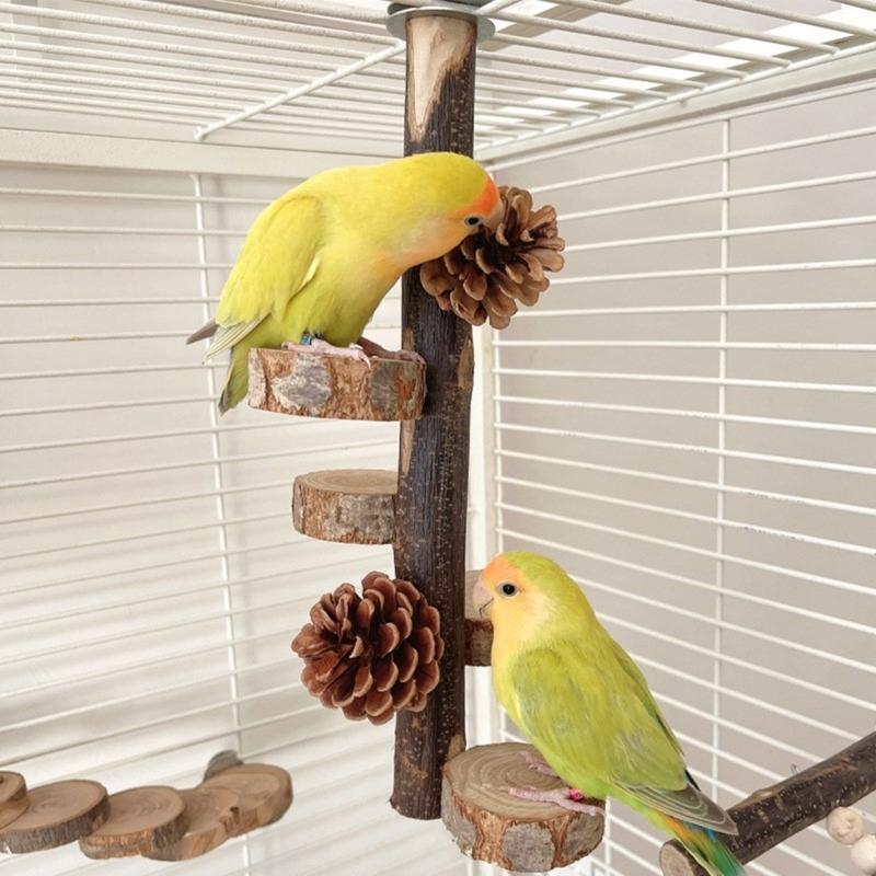 Parrots Grinding Scratchers Perch Pinecone Bird Stand Cage Toy Ladder Rack Toy Grinding Perch Supplies