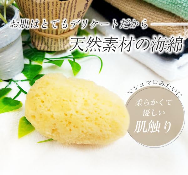 Sanitary Commercial Natural Individually Face Delicate Zone [12 Pieces] Sponge, Product, Sponge, Use, Sponge, Wrapped, Ziplock, Sanitary, Absorbent,