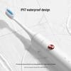 Lebooo C101 Sonic Electric Toothbrush