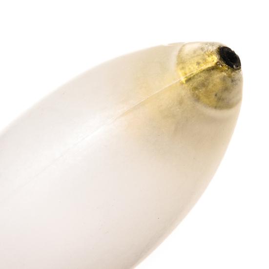 Fishing Buoy Slow Sinking Easy to Use Acrylic Fishing Tackle Floating Buoy Accessories