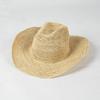 Frühling Sommer Mode Lässig Einfach Häkeln Raffia Cowboyhut mit Gewellter Krempe Outdoor Sonnenschutz Strohhut