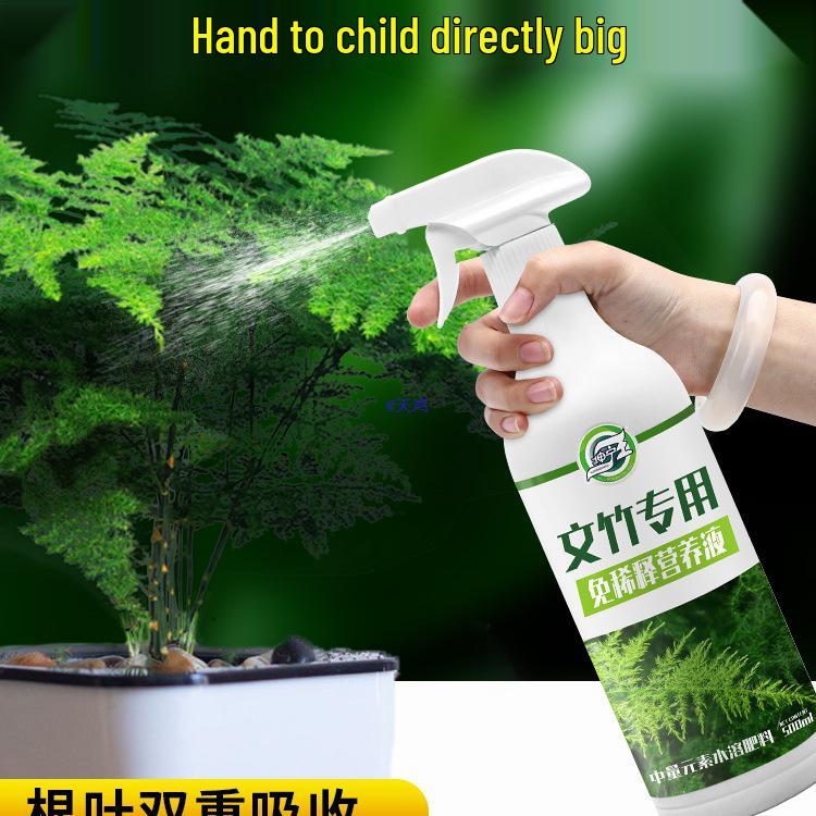 Asparagus Fern Liquid Nutrient Solution for Indoor Plants