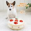 Pet Paradise Dog Toy, Educational Strawberry Cake Design, Dog Toy with Ball, Chew Sound, Nosework Toy (Product Code: 758-41959)