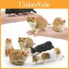 Childrens Pvc Realistic Cat Animal Model Toy For Educational Play And Collecting