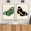 Artă retro, fluture colorat, pictură pe pânză, carte de artă de perete, poster pentru știința și educația animalelor, coridor, decorare a casei, murală fără cadru