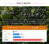 Doplněk Jabara od Kitayama Sada 5 90 tablet od Japan Bellows Promotion village. [Autorizované sdružení]