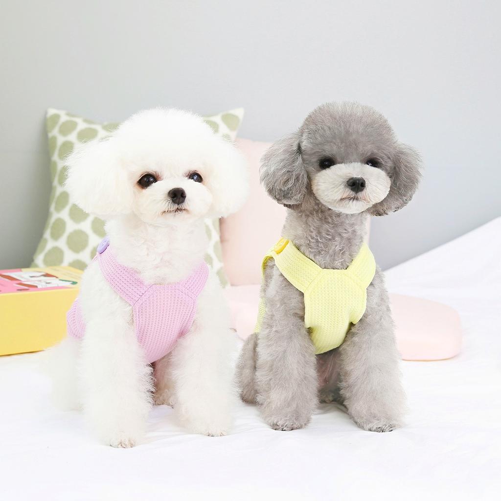 Jaro a léto Nové oblečky pro domácí mazlíčky Oblečení pro Teddy pro malé psy Řemínek na záda vafle Bear Factory Velkoobchod s oblečením pro domácí mazlíčky