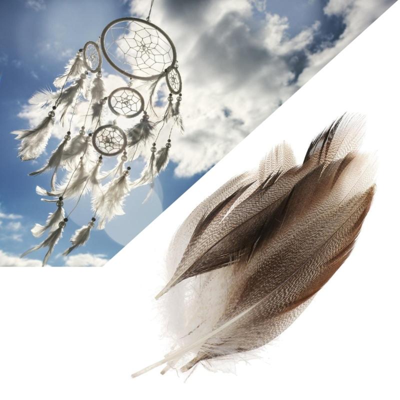 Pack of 50 Mallard Duck Wing 1.6-4.7Inch for Art Craft Wedding Halloween Decoration Cosplay Costume Accessories