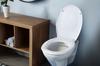 AWD INTERIOR 1998 Palmera Soft-Close Toilettensitz, Duroplast, Schwarz mit Palmen