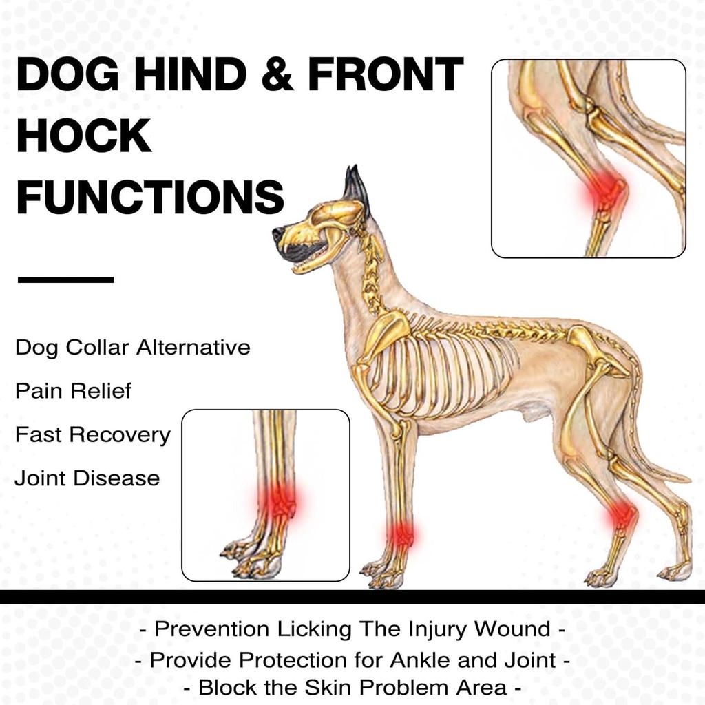 ROZKITCH Dog Leg Protector for Rear Hock Joint or Front Leg Knee, 1 Pair of Dog Leg Compression Wrap Sleeve for Anti Licking Carpal Support Ankle