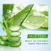 1 st SADOER Aloe Vera Tandkräm, Djuprengörande Tandrester, Frisk Andedräkt Tandtvätt Tandkräm 100g