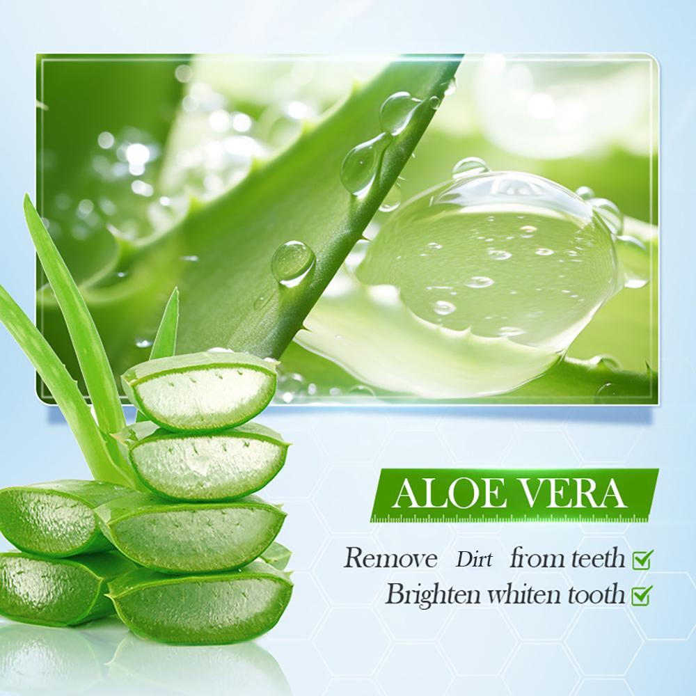 1 st SADOER Aloe Vera Tandkräm, Djuprengörande Tandrester, Frisk Andedräkt Tandtvätt Tandkräm 100g