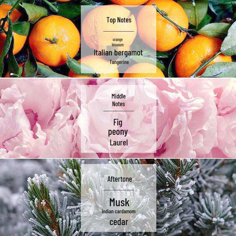 Kerastase Chroma Absolu Purifying Shampoo 3x80ml Travel Set