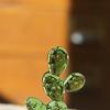 Cactus Ornaments Good Craftsmanship Decorative Glass Miniature Cactus Bonsai Figurine