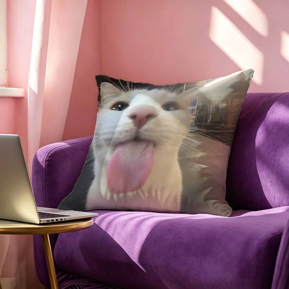 Funny Cute Cat Square DoubleSided printed Pillow Case Bedroom Bedside Pillow Sofa Cushion Cover