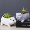 Modern Nordic Home Small Animal Ceramic Flower Pot Indoor Creative Simple Desktop Window Art Crafts Ornament