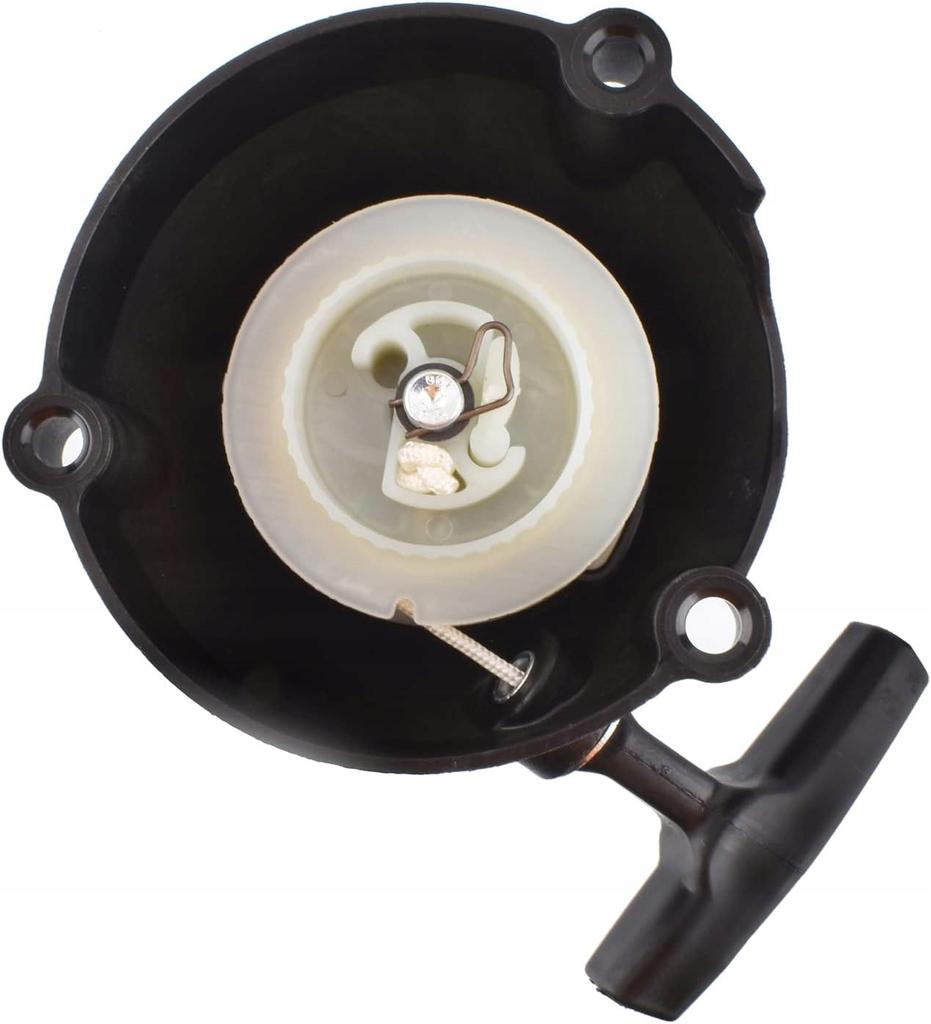 Starter Kit Blower Stihl Br500 Br550 Br600 Br700 German