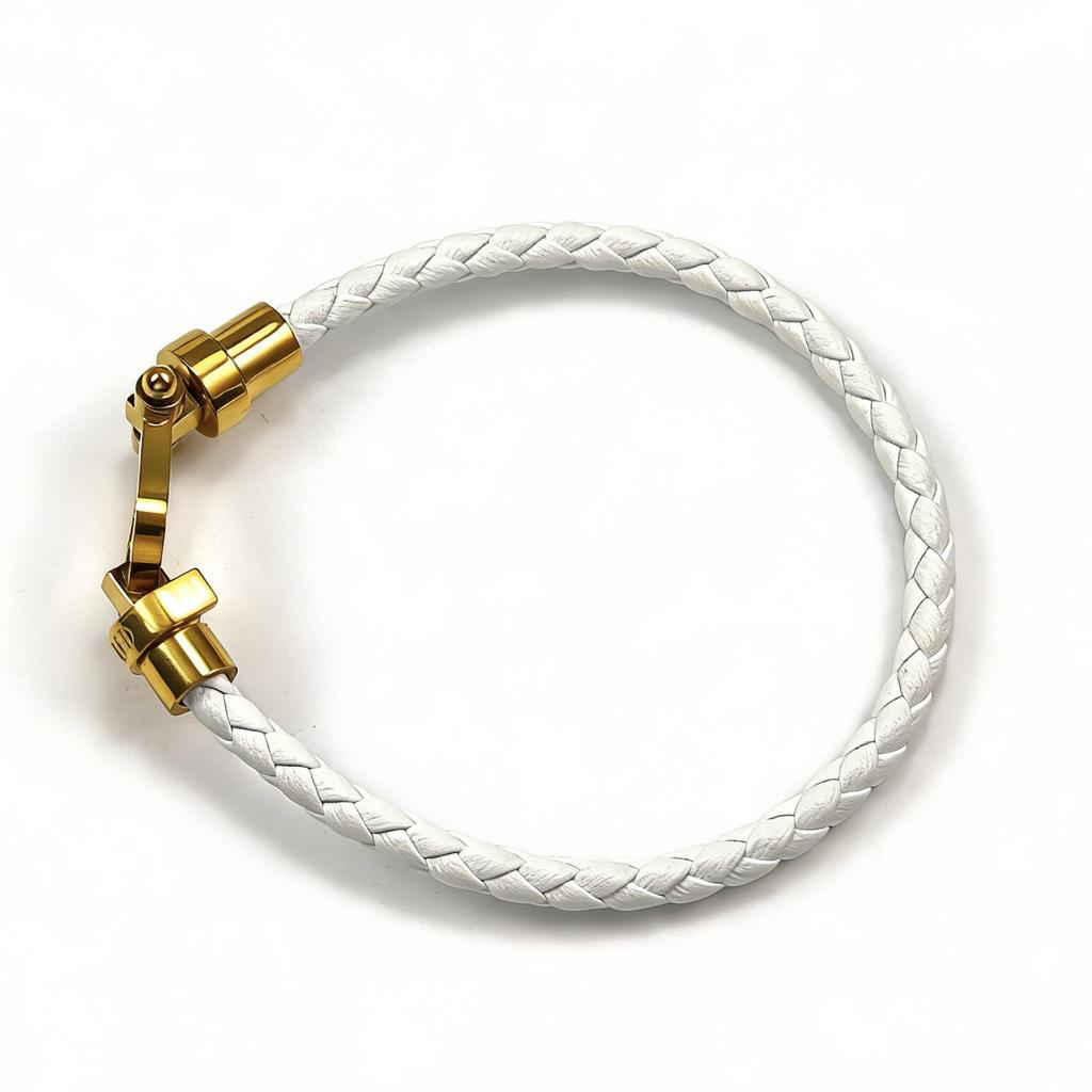 European and American Fashion U-shaped Bracelets Multi-color Braided Leather Rope Magnet Buckle Horseshoe Bracelet Personality Trend