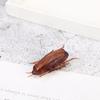 Simulated Crawling Cockroach Prank Toy