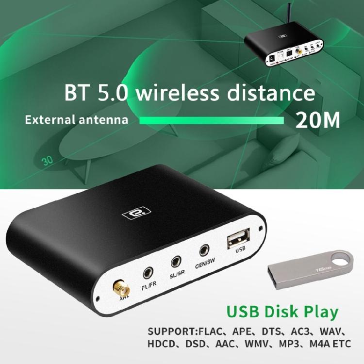 5.1 Audio Decoder with Bluetooth-compatible U-Disk DTS AC3 For Amplifier/Speaker
