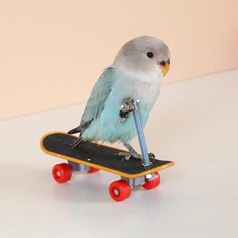 Vogel Papagei Spielzeug Skateboards Kunststoff Reptilien Unterhaltung Trainingswerkzeug Acc Vogelzubehör Rollschuhe