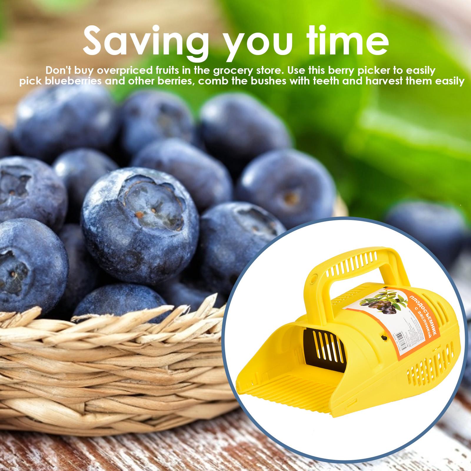 Blueberry Picker Ergonomic Soft Touch Handle Lightweight Handle Easy To Use Berry Picker Rakes With Comb Teeth Easy To Use CN