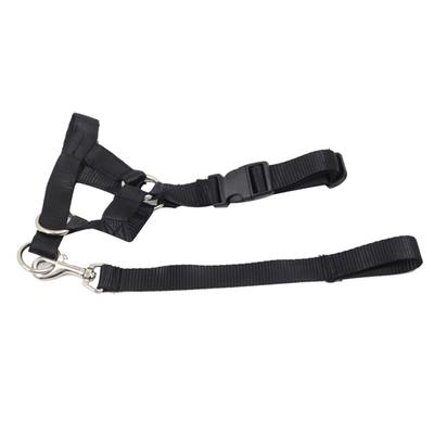 Dog Mouth Muzzle with Towing Rope Adjustable Dog Head Collar Halter Prevent From Biting Barking