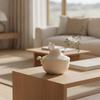 Ceramic Vase Matte Artistic Minimalist Vessel for Living Room
