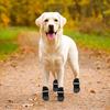 Shoes For Dog Elastic Breathable Anti-Slip Booties Reflective Dog Booties For Puppy Pet Walking Camping Hiking Outside Floors