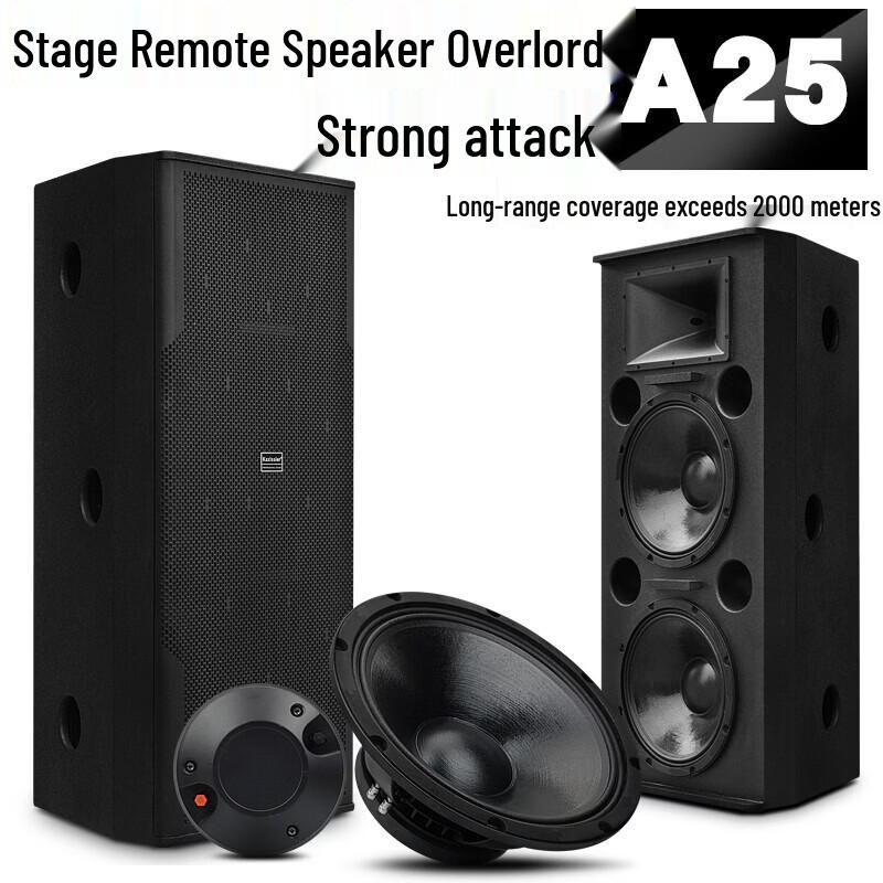 KAXISAIER Professional Passive Full-Range Speaker CN Plug (adapter Included)