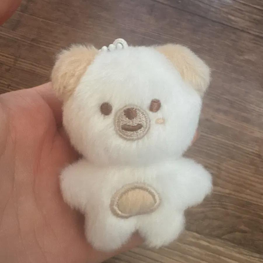 

DAY6 Красивые деньги