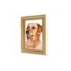 Personalised Dog Memorial Photo Frame Gift Engraved Pet Paw Print Universal Photo Frame