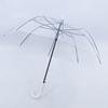 TianAi Transparent 8-Rib Long-Handle Umbrella