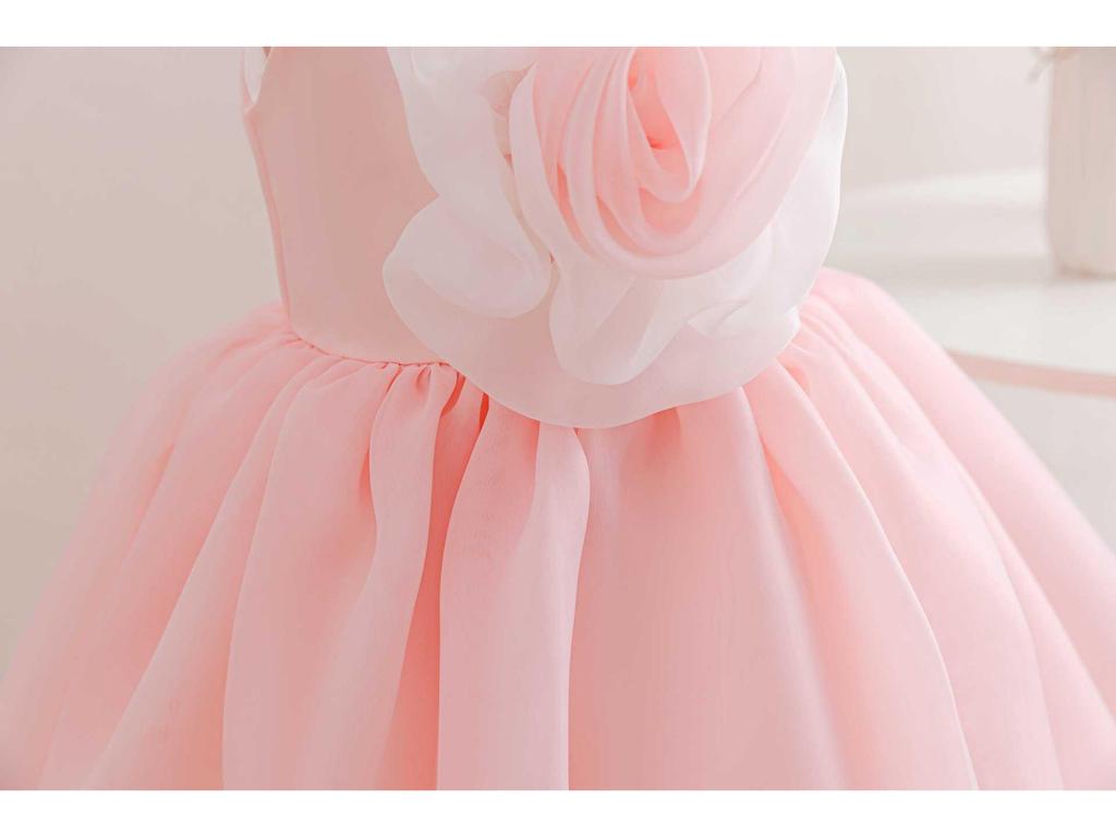 Baby Girl's 1st Birthday Princess Dress with 3D Flowers - Evening Gown & Costume