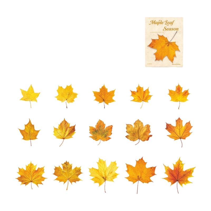 Leaf Sticker Removable Adhesive PET Sticker Label for Notebook Journal Phone Case Scrapbooking and Gift Wrapping