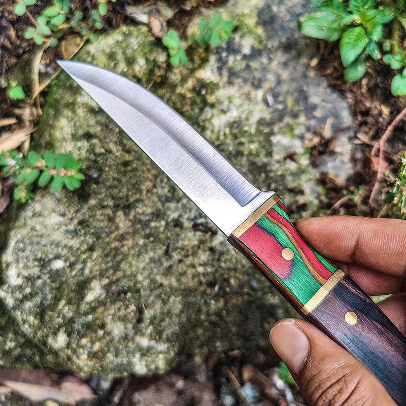 Nerezový nůž na vykosťování Kuchyňský nůž Domácí krájení zeleniny Nůž na ovoce s krytem nože