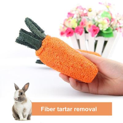 Pet Molar Toy Exquisite Teeth Cleaning Healthy Pet Rabbit Carrot Teeth Grinding Toys for Guinea Pig
