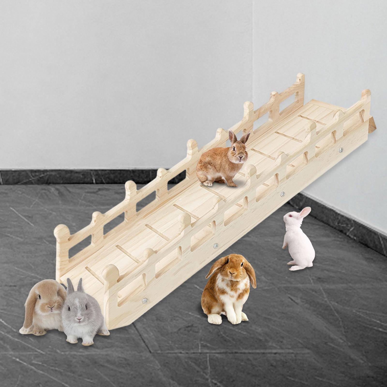 

Уютное деревянное убежище для животных – идеальное убежище для маленьких домашних животных Elevator to the moon